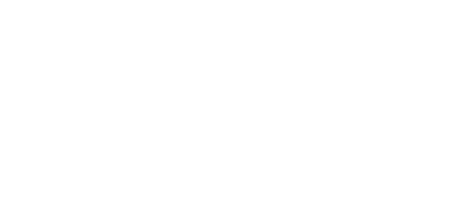 Institutional Insights and Innovation