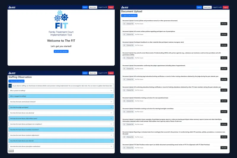 Family Treatment Court Implementation Tool (FIT)